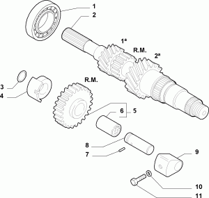 TRANSMISSION GEARS