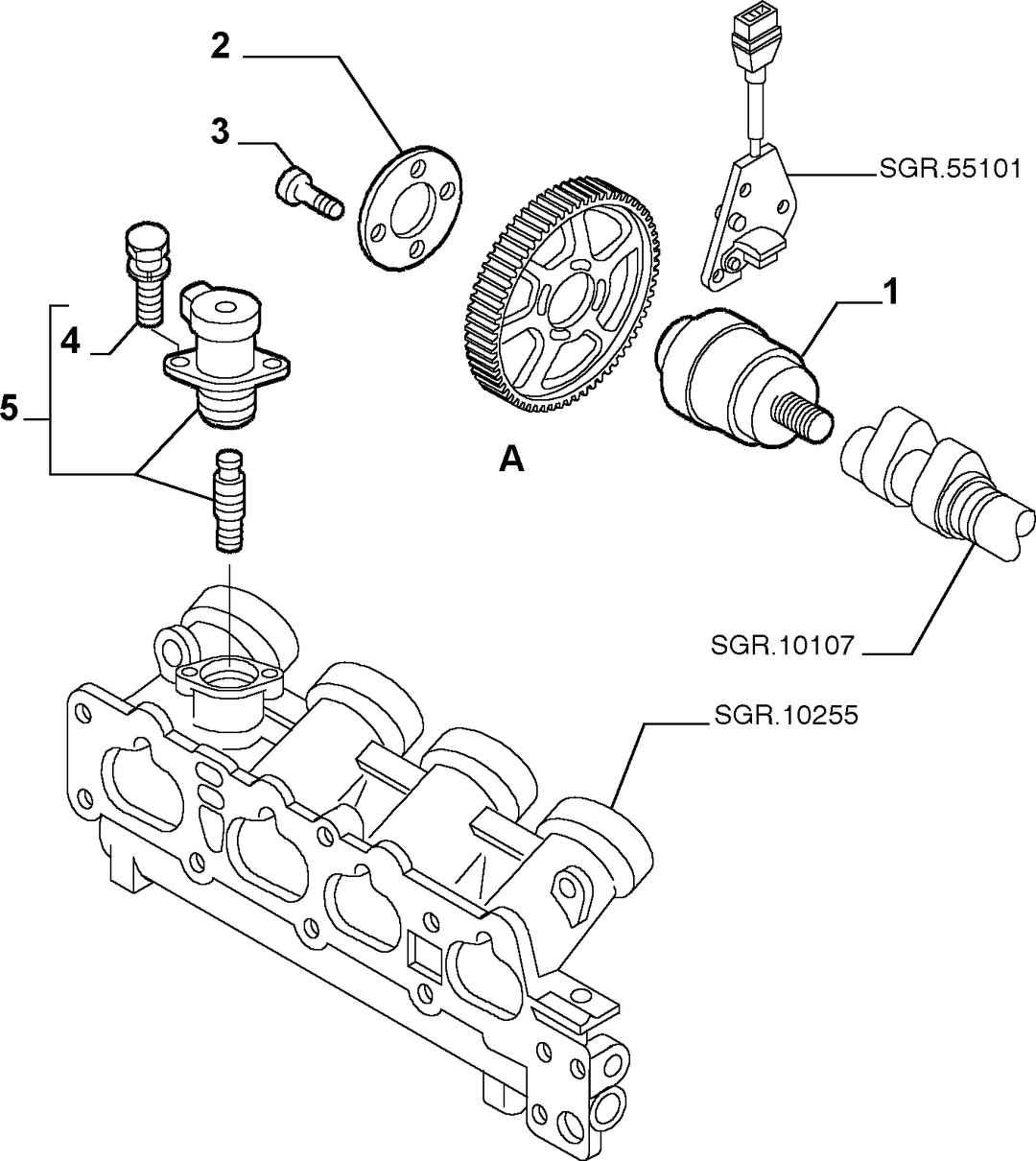 CAMSHAFT DRIVE 2