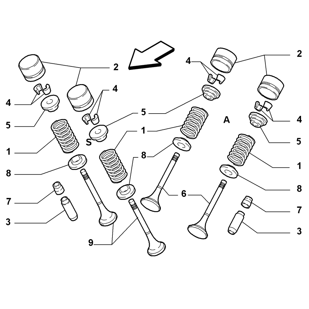 DISTRIBUTION 6