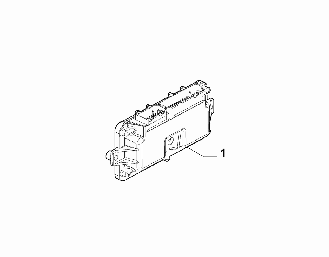 GAS ECU