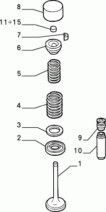 DISTRIBUTION