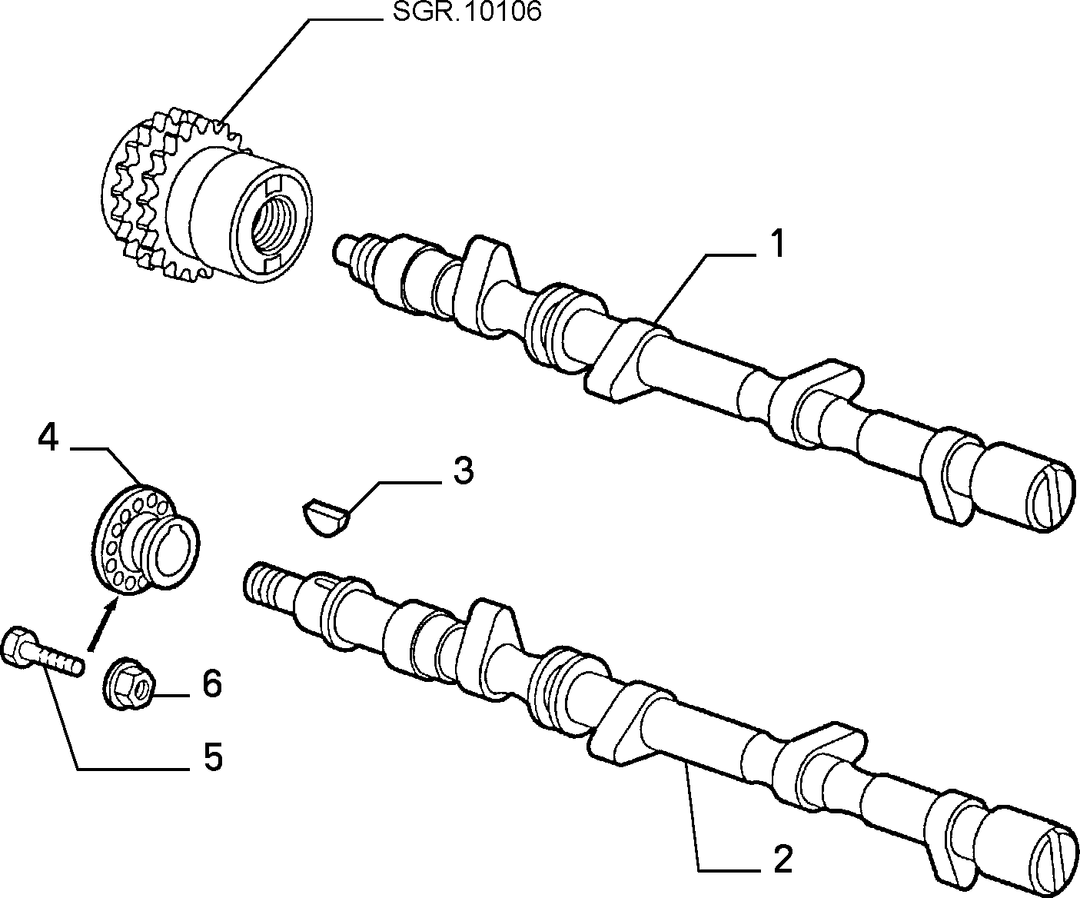 DISTRIBUTION 1