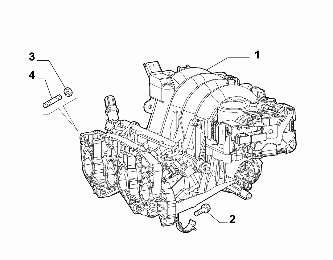 INTAKE MANIFOLD AND BUTTERFLY CLIPS 2