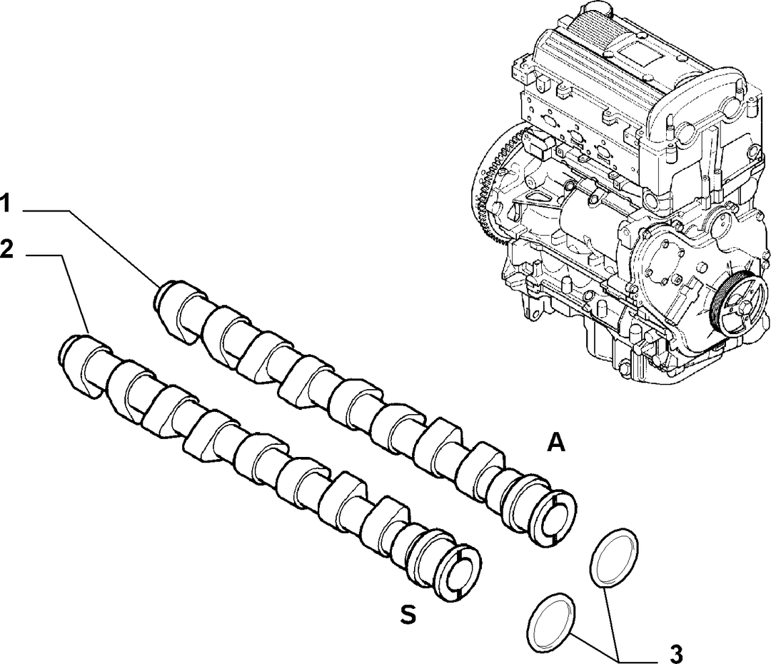 DISTRIBUTION 1