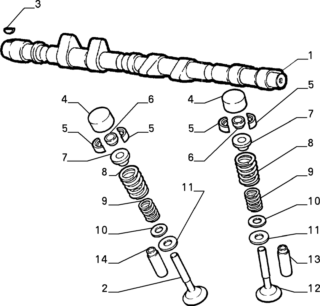 DISTRIBUTION