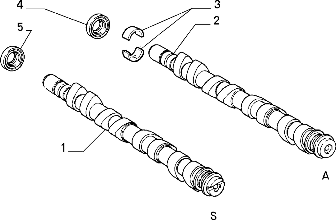 DISTRIBUTION 1