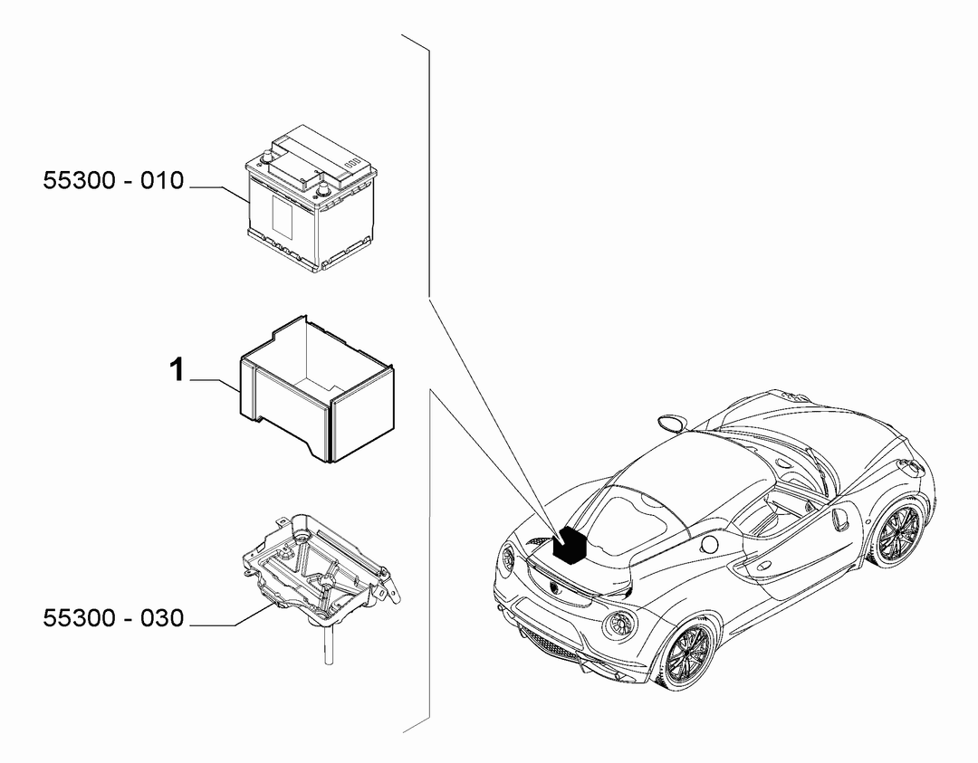 BATTERY GUARDS
