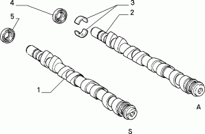 DISTRIBUTION