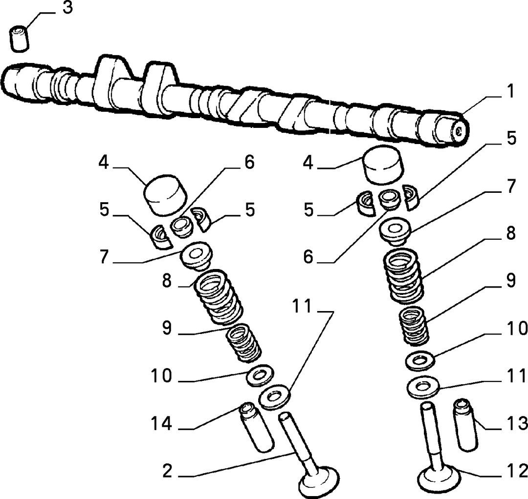 DISTRIBUTION 5