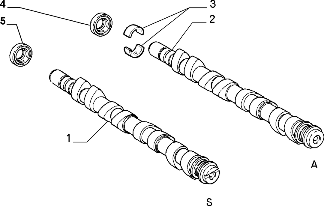 DISTRIBUTION 1