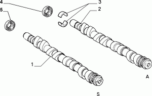 DISTRIBUTION