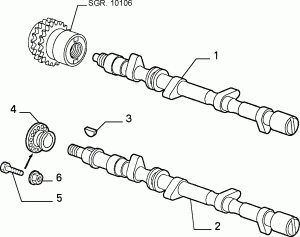 DISTRIBUTION