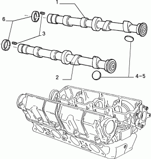 DISTRIBUTION