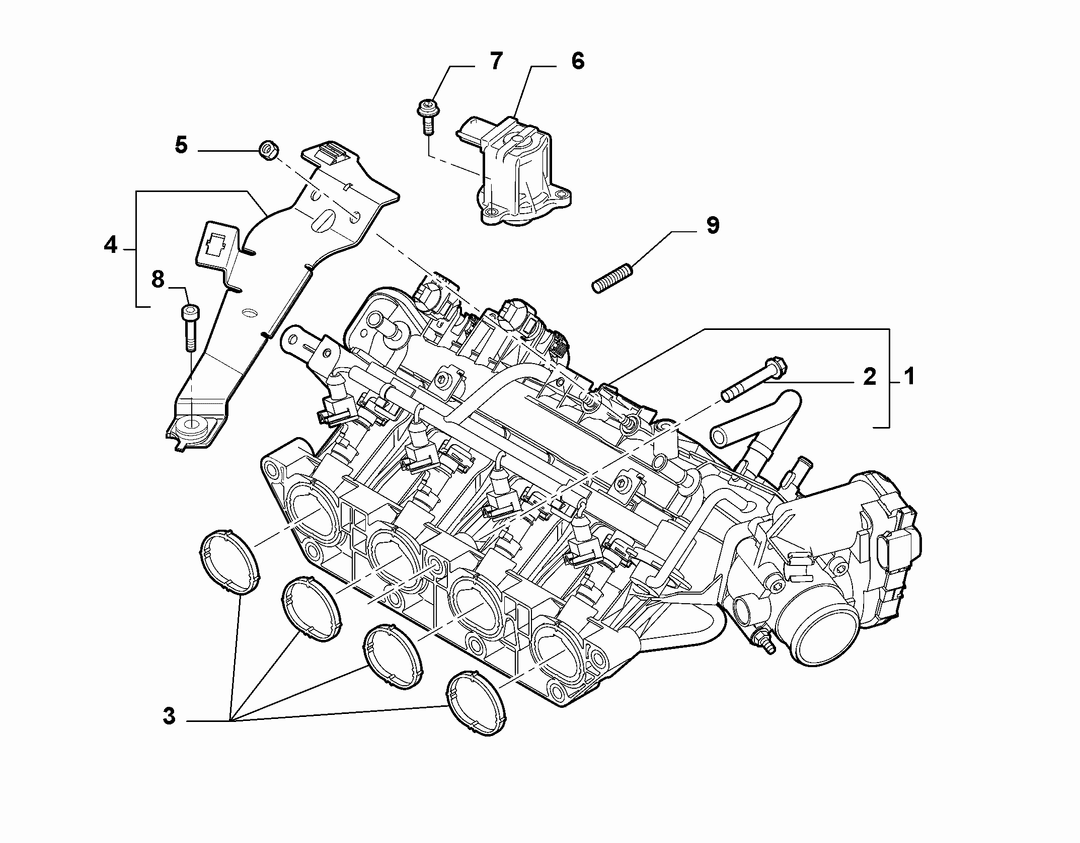 INTAKE MANIFOLD AND BUTTERFLY CLIPS 2