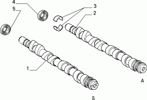 DISTRIBUTION