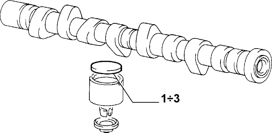 DISTRIBUTION 3