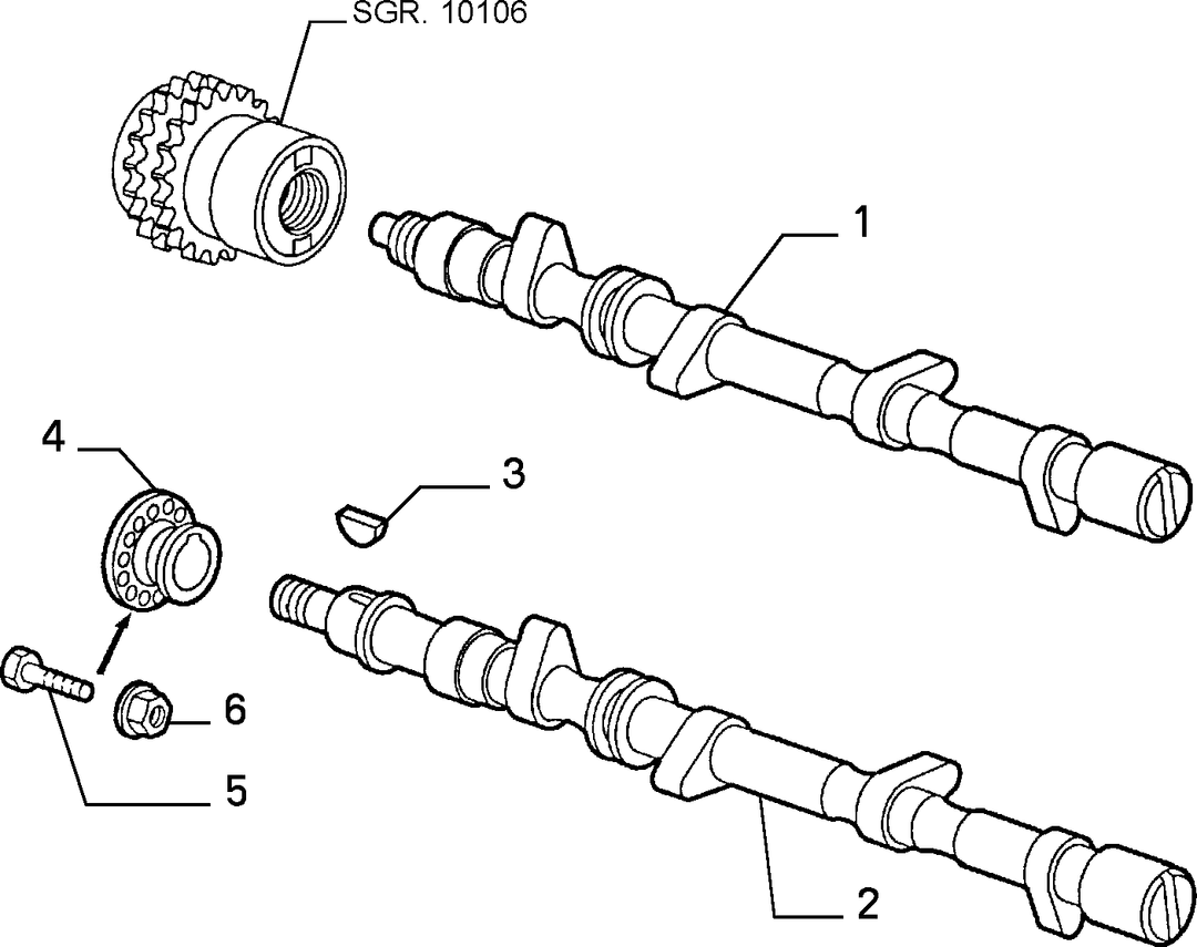 DISTRIBUTION 1