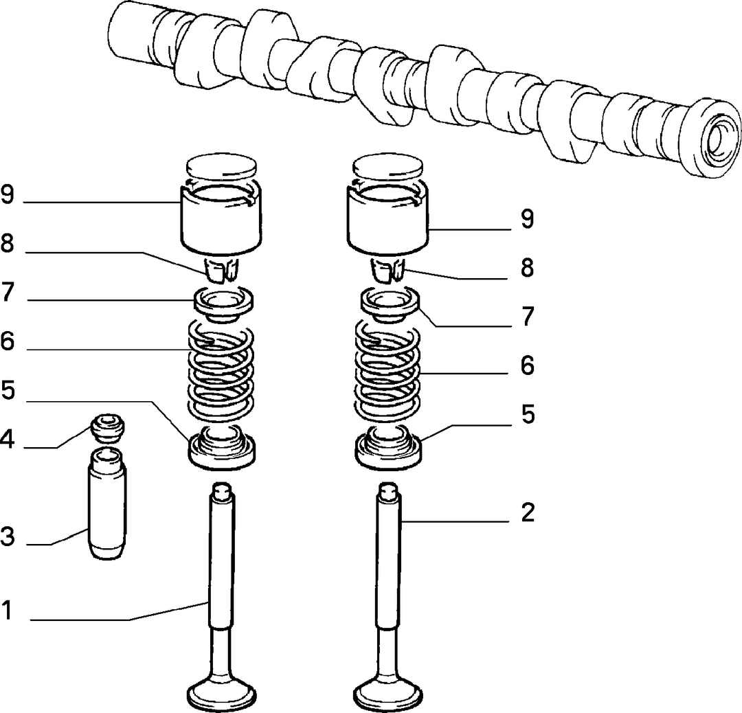 DISTRIBUTION 2