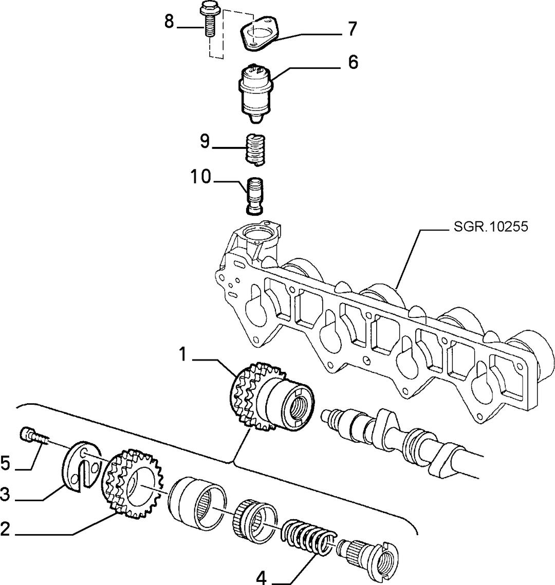 CAMSHAFT DRIVE 2