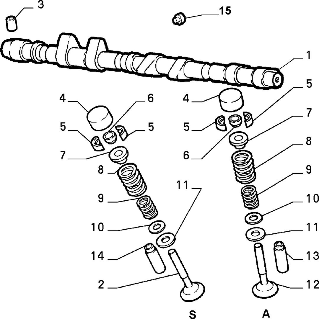 DISTRIBUTION 5