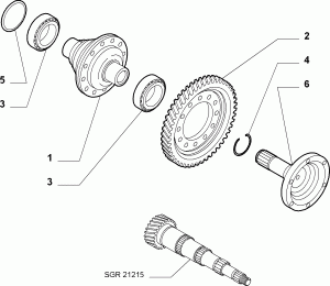 DIFFERENTIAL GEARS
