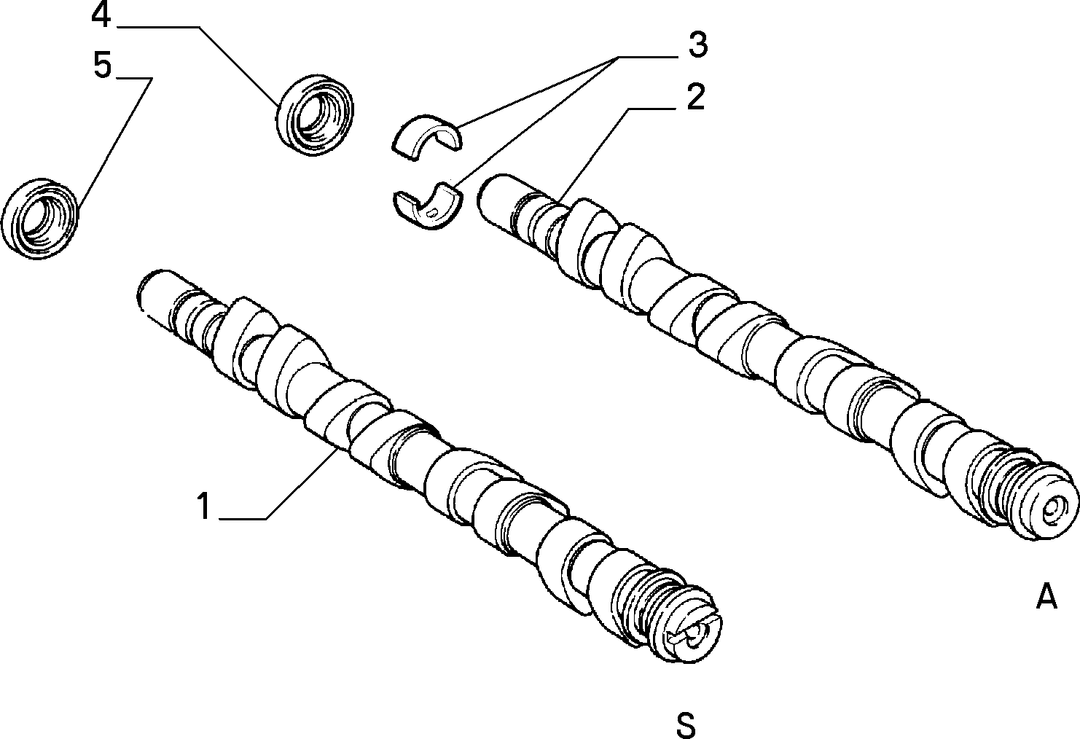 DISTRIBUTION 1