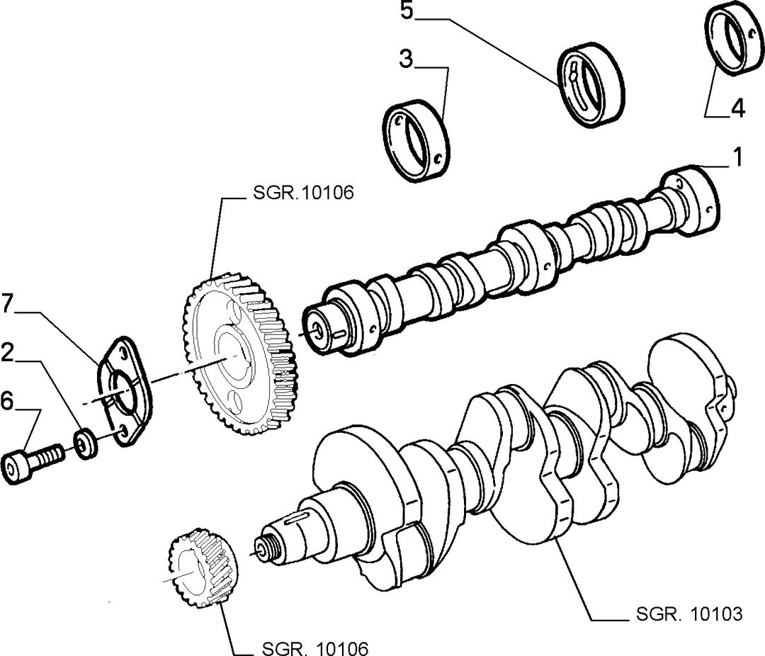 DISTRIBUTION 5