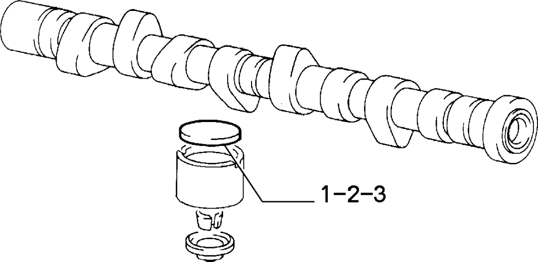 DISTRIBUTION 3