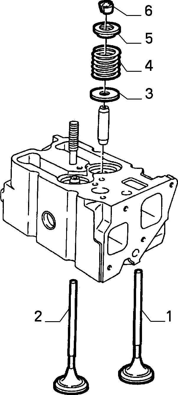 DISTRIBUTION 5